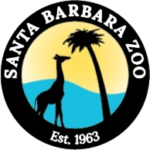 Untitled_design__5_-removebg-preview