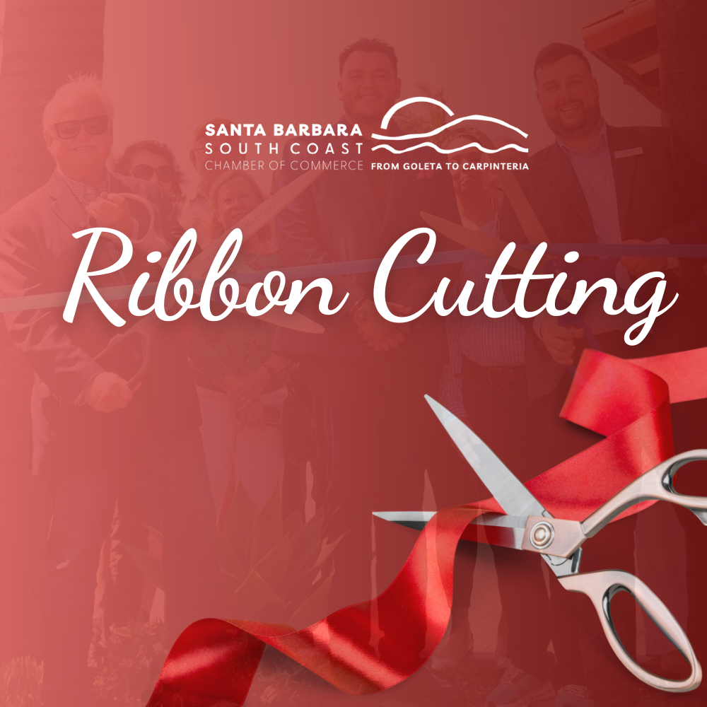 WordPress News Post 800x800 (17) WordPress News Post 800x800 (17)