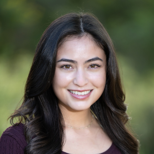 Board Member (17) Board Member (17)